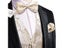 Hi-Tie Brand Silk Mens Vests Red Blue Green Gold Waistcoat Tie Bowtie Hanky Carousel 2
