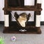 Cat Tree House - (NZ Clearance) Carousel 4