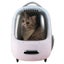 PETKIT Ventilated Carrier with Inbuilt Fan Light, Comfortable Cat Dog Bag Travel Carousel 2