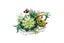 Loading Image 1 of 2