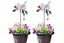 2Pcs Metal Bird Art Stake Garden Colored Bird Stand Yard Decor Lawn Ornament-Whi Carousel 1