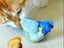 Interactive Cat Toy With Simulated Chirping Bird Artificial Bird Blue Carousel 2
