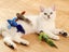 Interactive Cat Toy With Simulated Chirping Bird Artificial Bird Blue Carousel 4