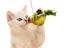 Interactive Cat Toy With Simulated Chirping Bird Artificial Bird Green Carousel 1