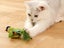 Interactive Cat Toy With Simulated Chirping Bird Artificial Bird Green Carousel 4