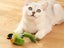 Interactive Cat Toy With Simulated Chirping Bird Artificial Bird Green Carousel 6