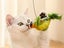 Interactive Cat Toy With Simulated Chirping Bird Artificial Bird Green Carousel 9