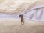 Plush Square Pillow Cover Sofa Pillow Cover Fluffy Plush Pillowcase Beige Carousel 2