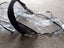 Phil n Teds baby carrycot winter cover Carousel 1