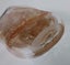 +++ ELEGANT "J. (JAMES) CARCASS" ART GLASS VASE +++ Carousel 16