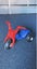 Loading Image 1 of 2