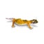 Loading Image 1 of 6