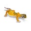 Loading Image 2 of 6