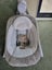 Ingenuity AnyWay Sway Dual-Direction Portable Swing Ray Carousel 3