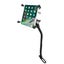 RAM X-Grip Universal Cradle for 7"- 8" Tablets with RAM Pod No-Drill Base Carousel 3