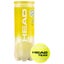Head Team Tennis Ball 3pk Carousel 1