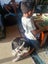 Pound Paws Rescue - Spot, Collie mix, Christchurch Carousel 4