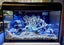 Aquastyle Aqua One Ecostyle 61 Black Aquarium 70L Carousel 1