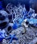 Aquastyle Aqua One Ecostyle 61 Black Aquarium 70L Carousel 7