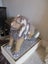 Antique Stone Lion and Lioness Carousel 5