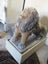 Antique Stone Lion and Lioness Carousel 7
