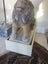 Antique Stone Lion and Lioness Carousel 8
