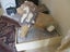 Antique Stone Lion and Lioness Carousel 11