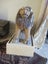 Antique Stone Lion and Lioness Carousel 15