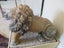 Antique Stone Lion and Lioness Carousel 16