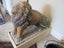 Antique Stone Lion and Lioness Carousel 17