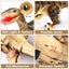 Remote Control Walking Robot Dinosaur Toy Carousel 7