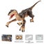 Remote Control Walking Robot Dinosaur Toy Carousel 9
