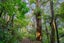 gallery view thumbnail