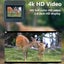 Nv3000 Outdoor Hunting 4K Hd Monocular Digital Night Vision Device Carousel 7
