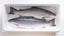 Dry-Curing Process with Tublin® Carousel 4
