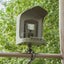 Bc303 Bird Feeder Outdoor Trail Camera Bird Watching Camera With Motion Senso... Carousel 6