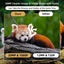 Mini301 20Mp 1080P Hunting Trail Camera With Night Vision Wildlife Scouting P... Carousel 3