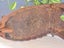 Antique Coal Flat Iron – Very Rusty! Carousel 9