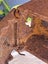 Antique Coal Flat Iron – Very Rusty! Carousel 10