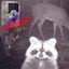 Pr-200 Ip54 Waterproof Ir Night Vision Security Hunting Trail Camera 120 Degr... Carousel 6