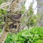 Pr-100 1Mp Ip54 Waterproof Ir Night Vision Security Hunting Trail Camera Sunp... Carousel 3