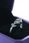 Silver dolphin ring Carousel 3