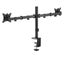 Locktight Dual-Monitor steel articulating mount Carousel 9