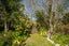 gallery view thumbnail