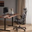 Ergomax X Office Chair Carousel 1
