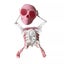 Dancing and Swinging 3D Skull Toy Carousel 1