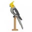 Loading Image 1 of 2