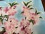 Vintage Japan Tutanka Cloisonne Cherry Blossom Plate Carousel 4