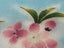 Vintage Japan Tutanka Cloisonne Cherry Blossom Plate Carousel 7