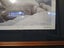 Large Robert Bateman print Carousel 2